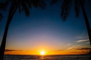 Ein Sonnenuntergang über dem Meer mit palmenartigen Bäumen, die sich im Himmel abzeichnen.