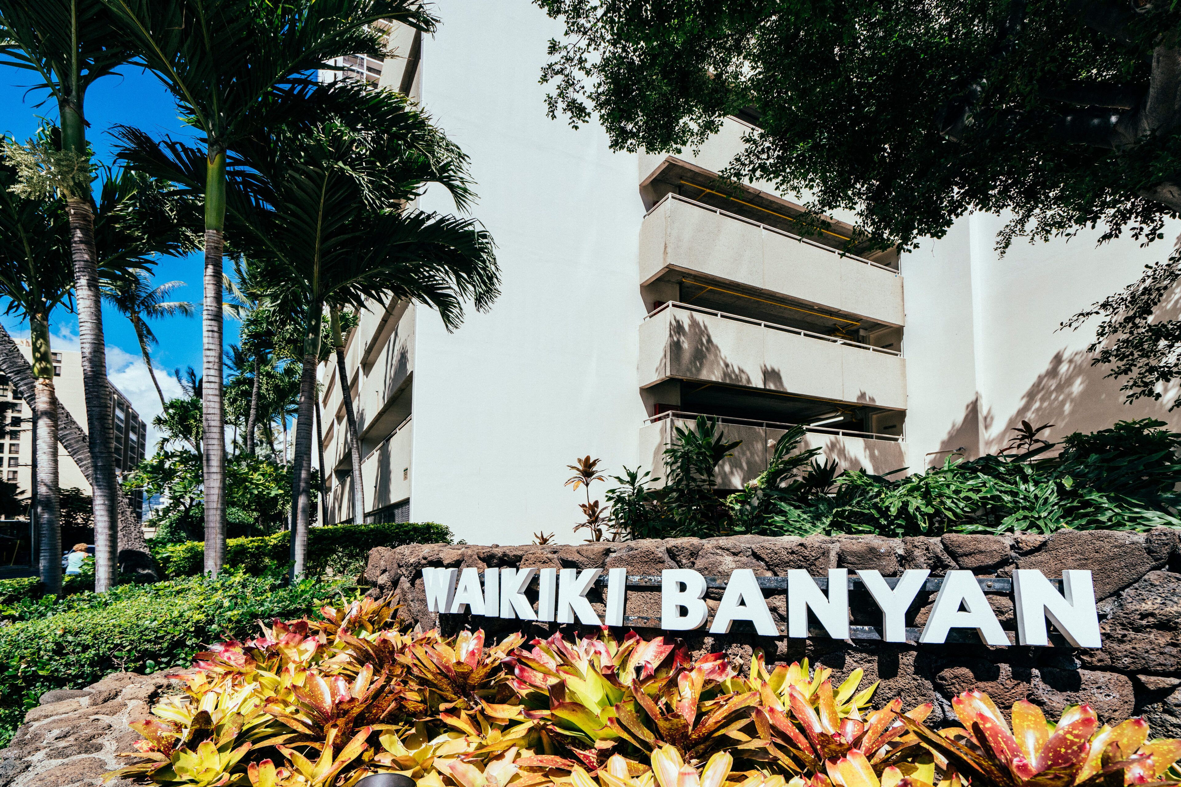 A sign with "WAKIKI BANYAN" written on it, surrounded by tropical plants and palm trees.
