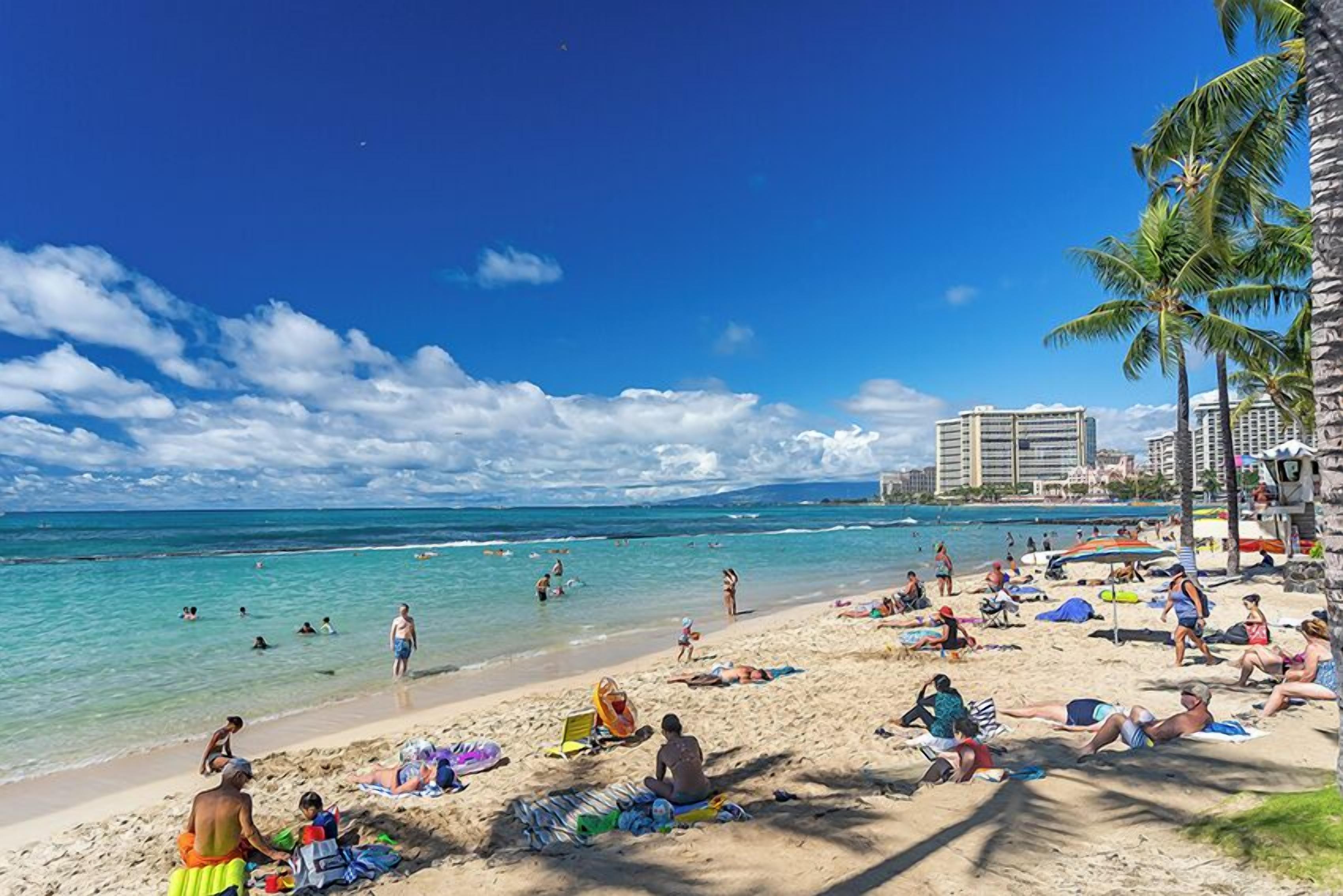 A beach with people sunbathing and swimming, palm trees, and buildings in the background.