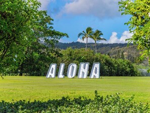 Um campo gramado com a palavra 'ALOHA' em letras grandes.
