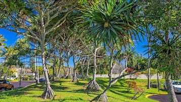 A lush garden with various tropical trees and a well-maintained lawn.