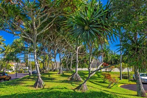 Un jardin luxuriant, avec différentes espèces d’arbres tropicaux et une pelouse bien entretenue.