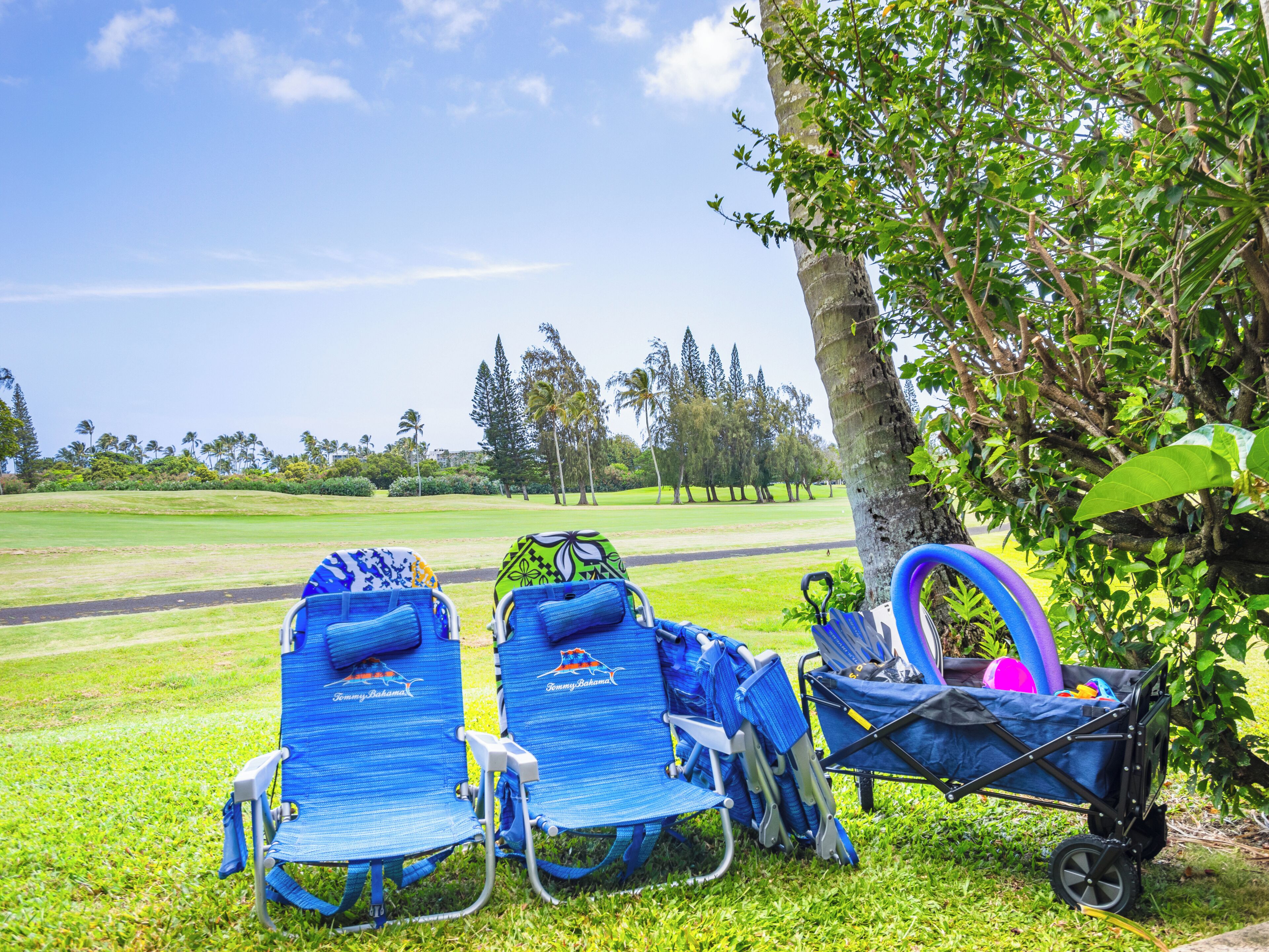 Due sedie da spiaggia, un passeggino e un ombrellone, posti sull'erba con vista su un campo da golf e alberi.