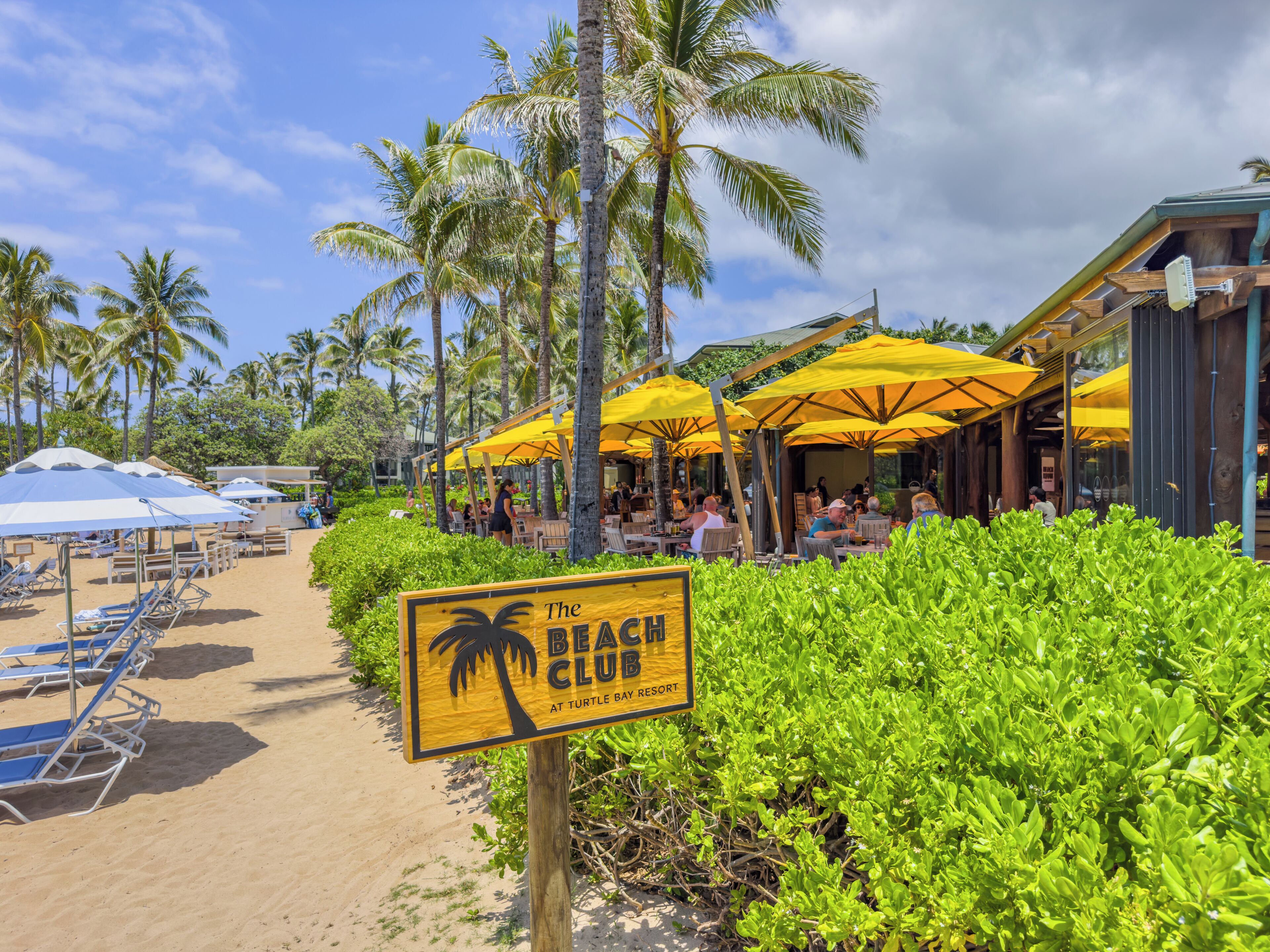 Un club de playa con asientos al aire libre bajo sombrillas amarillas, palmeras y un cartel que indica la ubicación en Turtle Bay Resort.