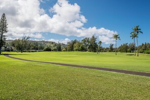 Um campo de golfe com céu claro, palmeiras e um caminho.