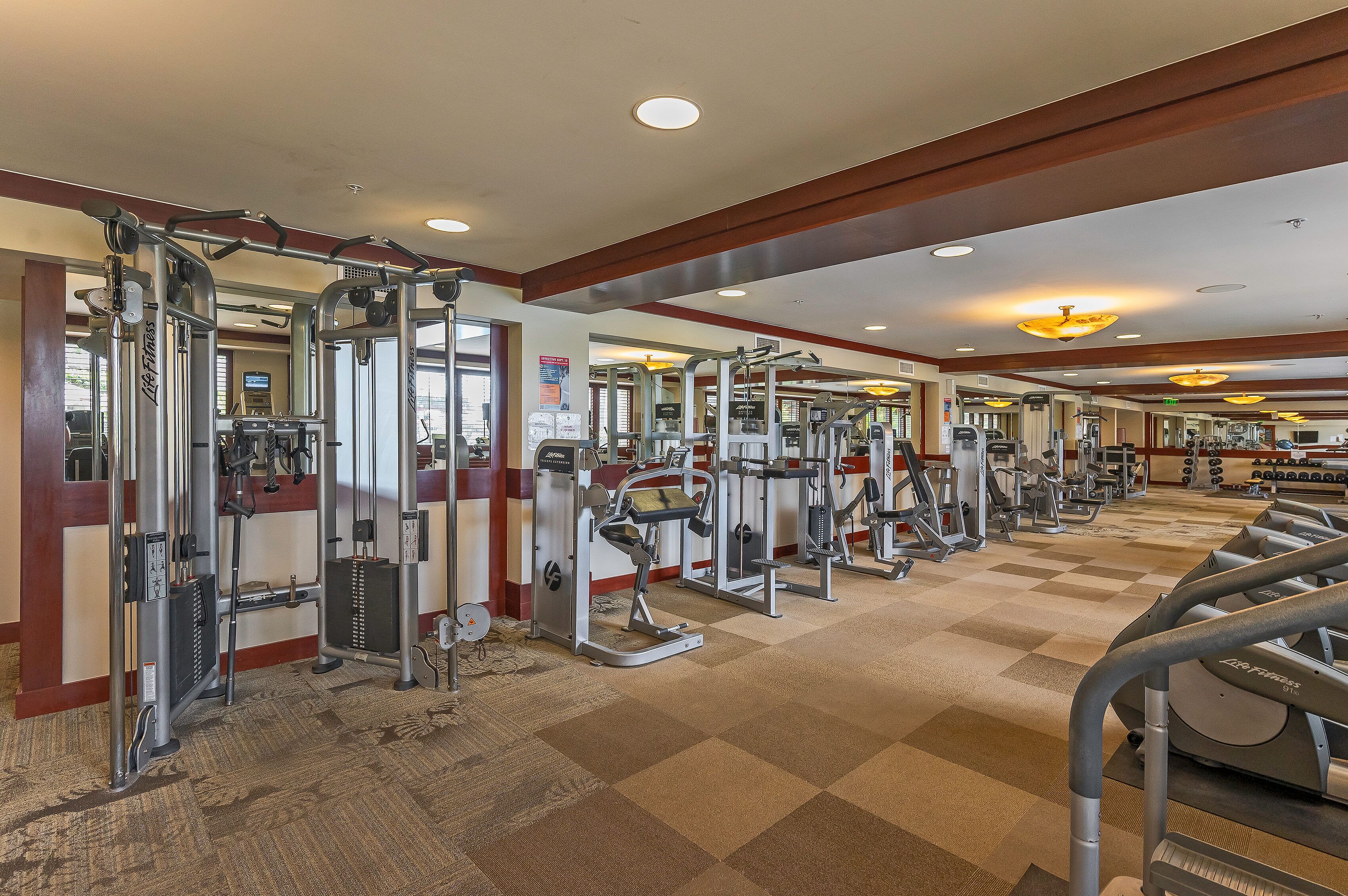 A gym with various exercise machines, a carpeted floor, and a mirrored wall.