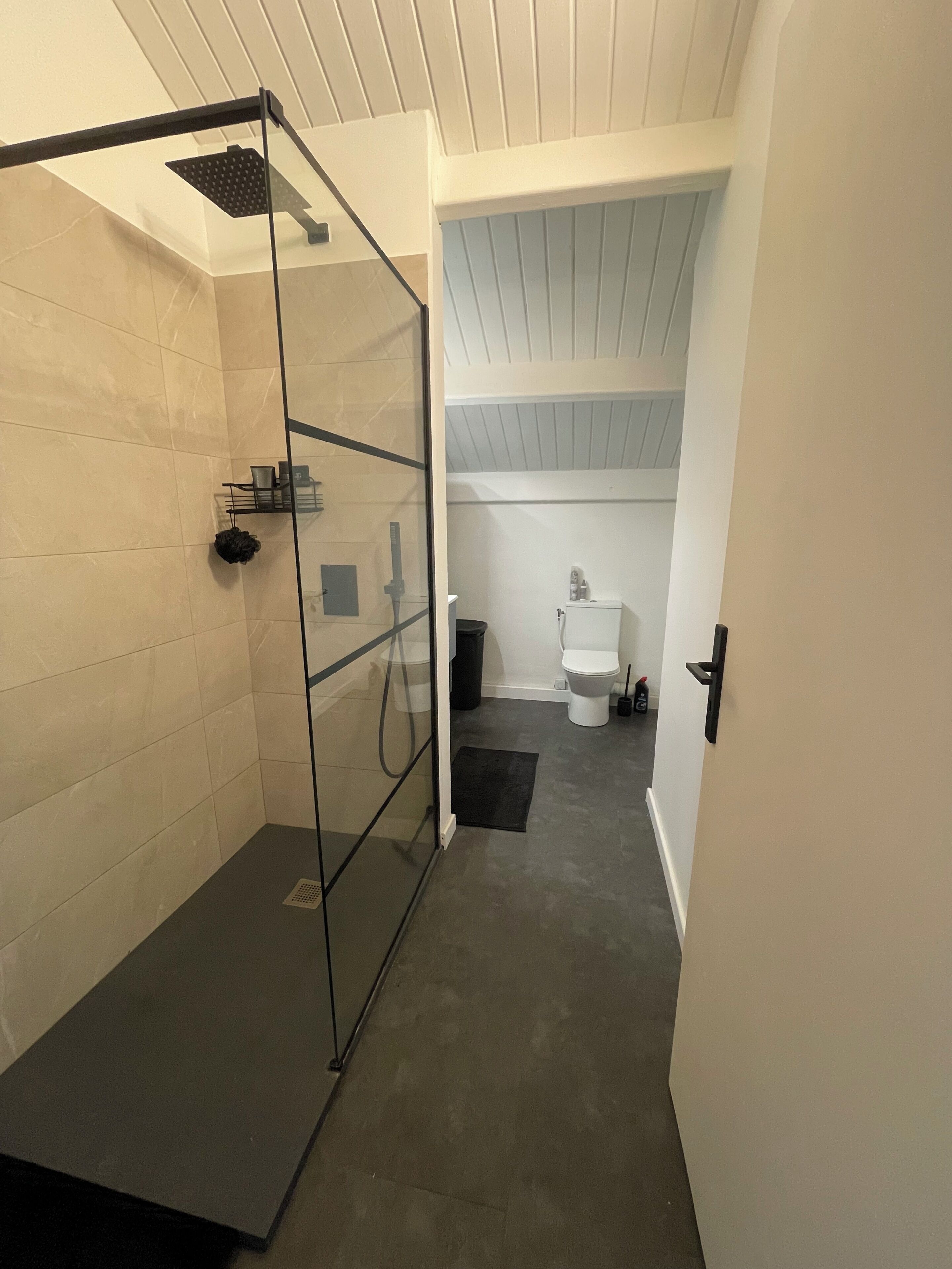 A modern bathroom with a glass shower enclosure, a toilet, and a sink.