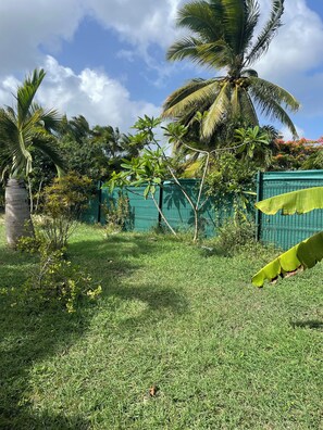 A grassy area with a palm tree and a green fence. - House with a pool (Sainte-Anne)