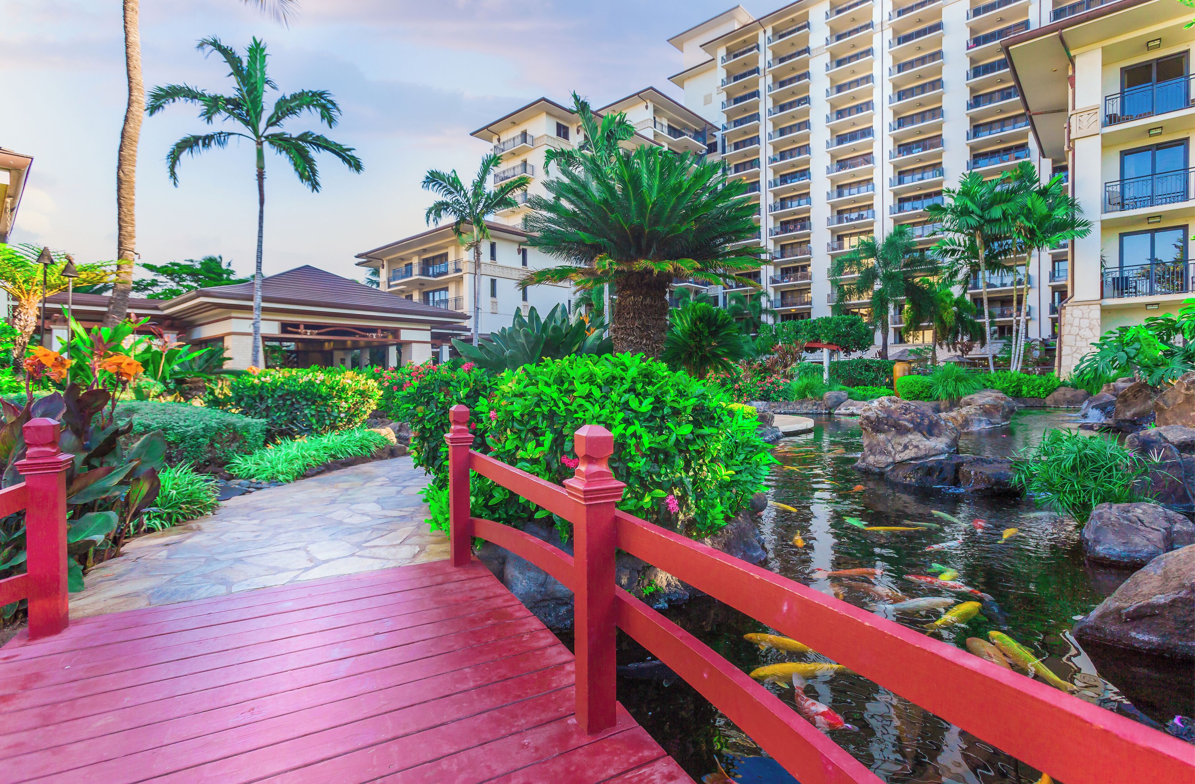 A red wooden bridge over a pond with fish, surrounded by lush greenery and palm trees, leading to a multi-story building with balconies.