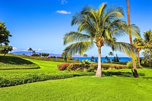 A lush green landscape with a palm tree and a view of the ocean. - Maui Kaʻanapali Condo - Ocean View, Walk to Beach (Lahaina)
