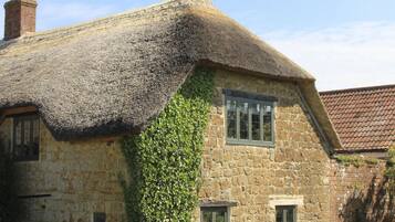 A traditional stone cottage with a thatched roof, ivy-covered walls, and a window.