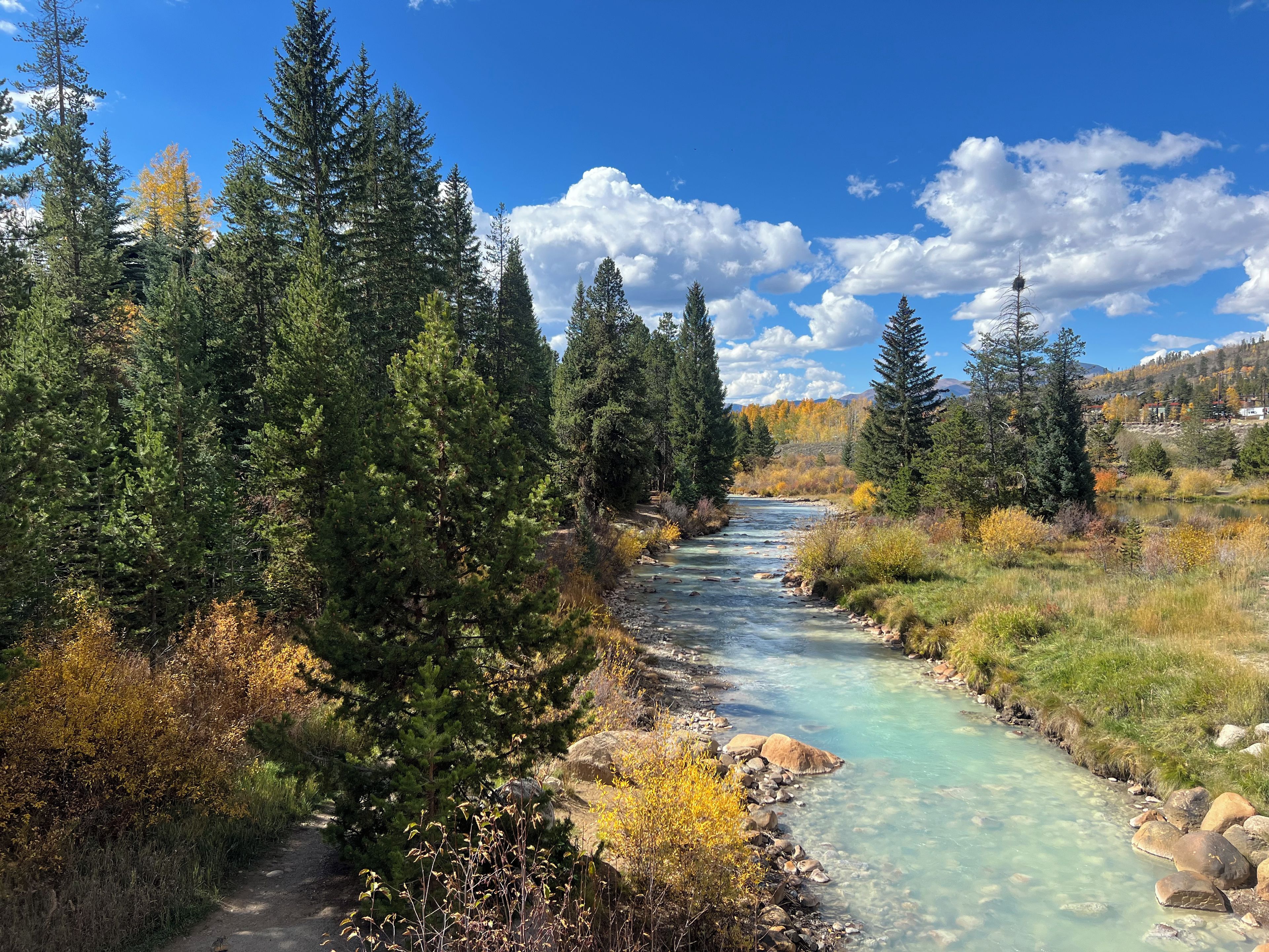 Un río serpentea por un bosque, con aguas cristalinas, rodeado de árboles y una montaña al fondo.