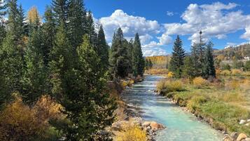 Un río serpentea por un bosque, con aguas cristalinas, rodeado de árboles y una montaña al fondo.