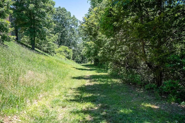 A natural, grassy path surrounded by dense trees. - Quiet Cabin1 mile to SDC - 4 Private Bed/Bath Masters, 2 Living Areas, 2 Pools! | 35 (Branson West)