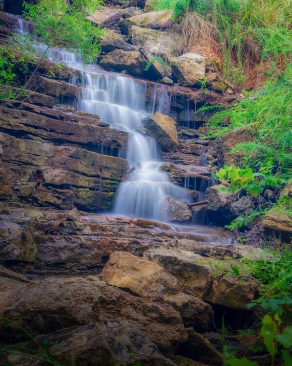 Ein Wasserfall stürzt über felsiges Gelände, umgeben von üppiger Vegetation.