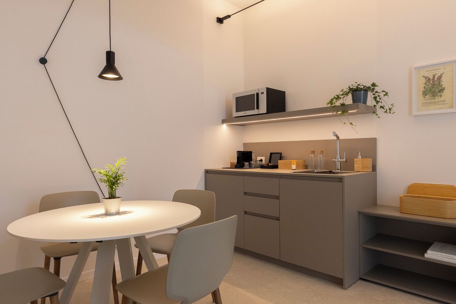 A modern kitchen with a microwave, sink, and potted plant.