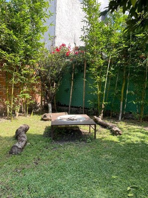 A garden with a table and chairs, surrounded by bamboo plants and a brick wall.