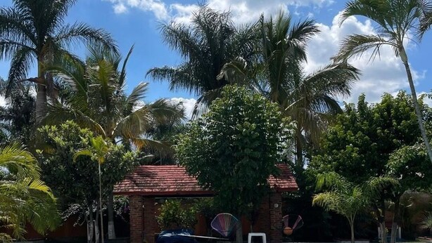Una piscina con escalones de acceso, rodeada de palmeras y un edificio de ladrillo.