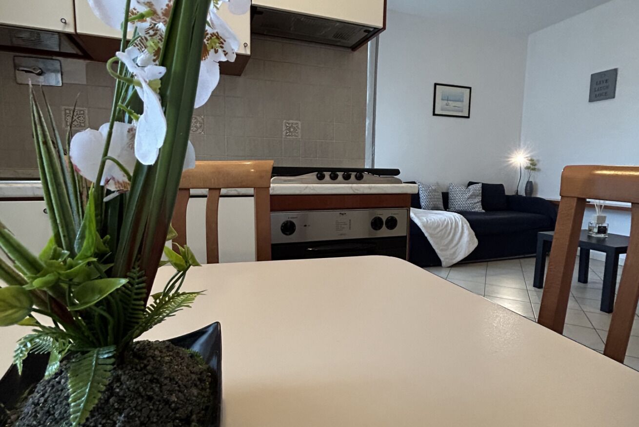 Une cuisine équipée d’une cuisinière, une table à manger avec des chaises, un canapé et une plante en pot.