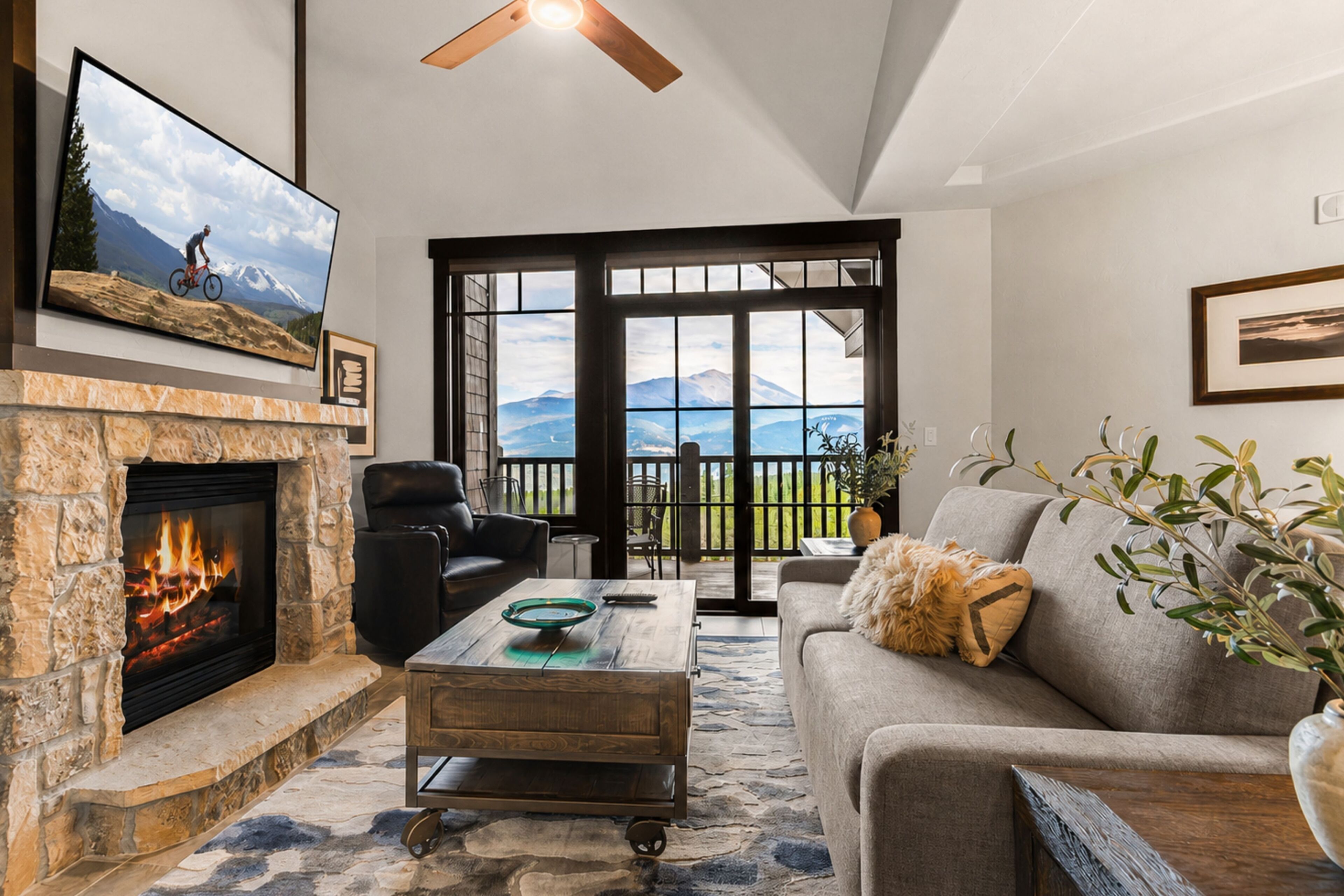 TV, fireplace