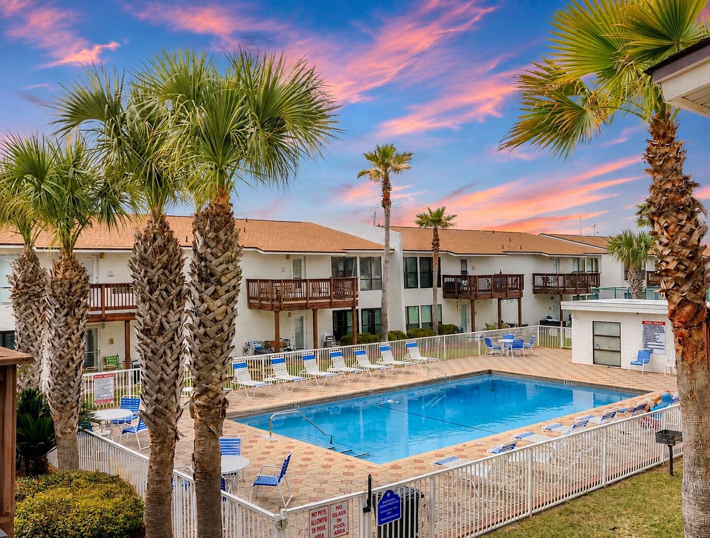 A swimming pool surrounded by palm trees, with a building in the background.