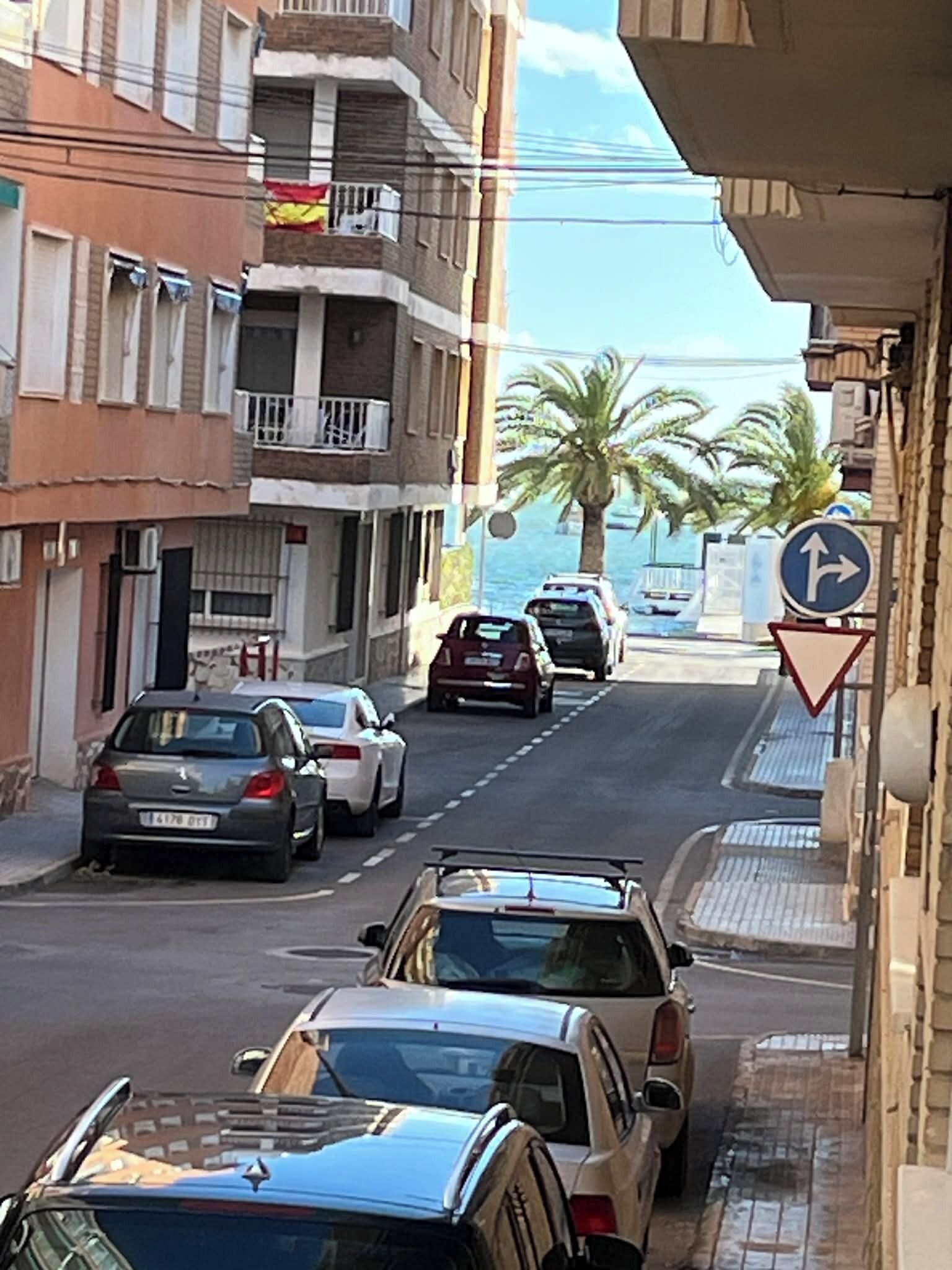 A street with parked cars, buildings, and a palm tree.