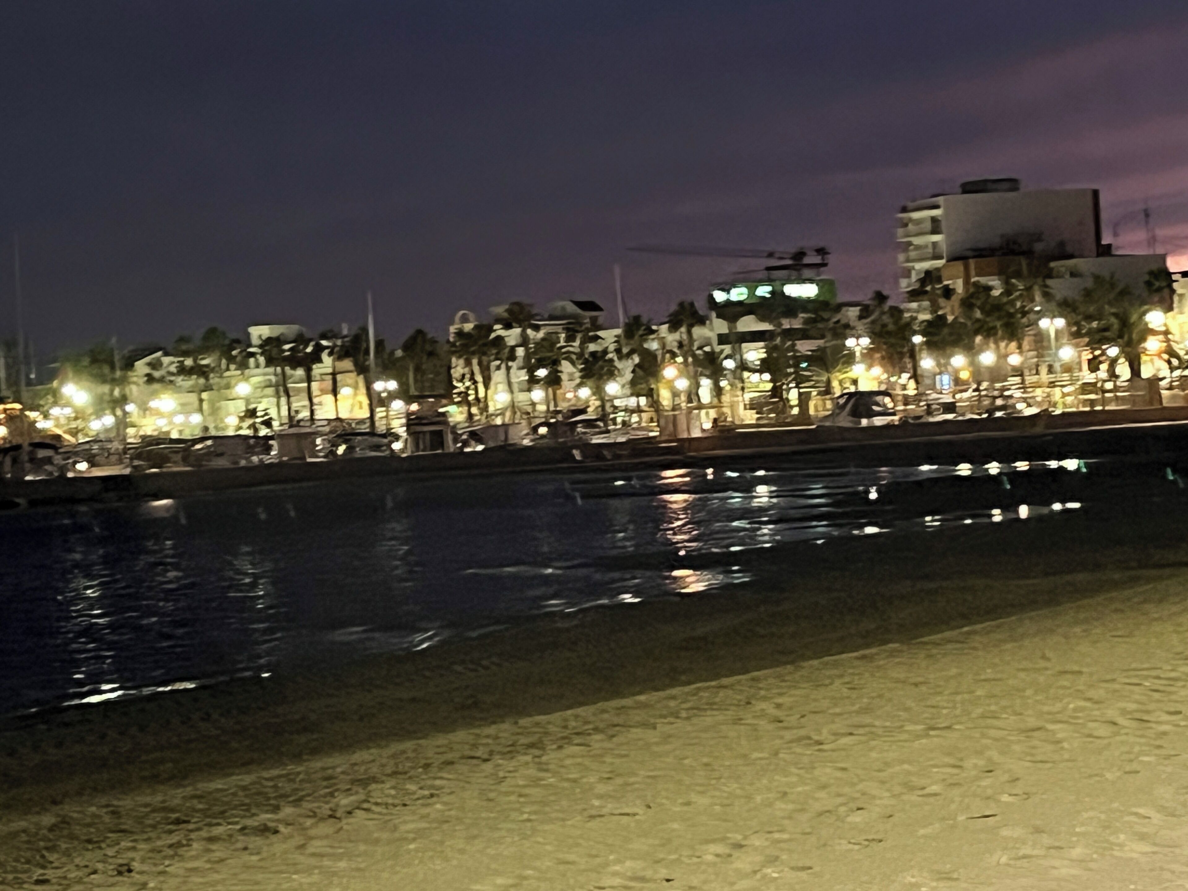 Eine Uferpromenade mit Gebäuden, Palmen und einem sich spiegelnden Gewässer.