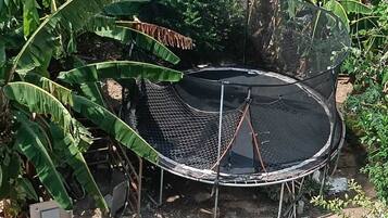 Un trampolín rodeado de plantas de plátano en un entorno exterior.