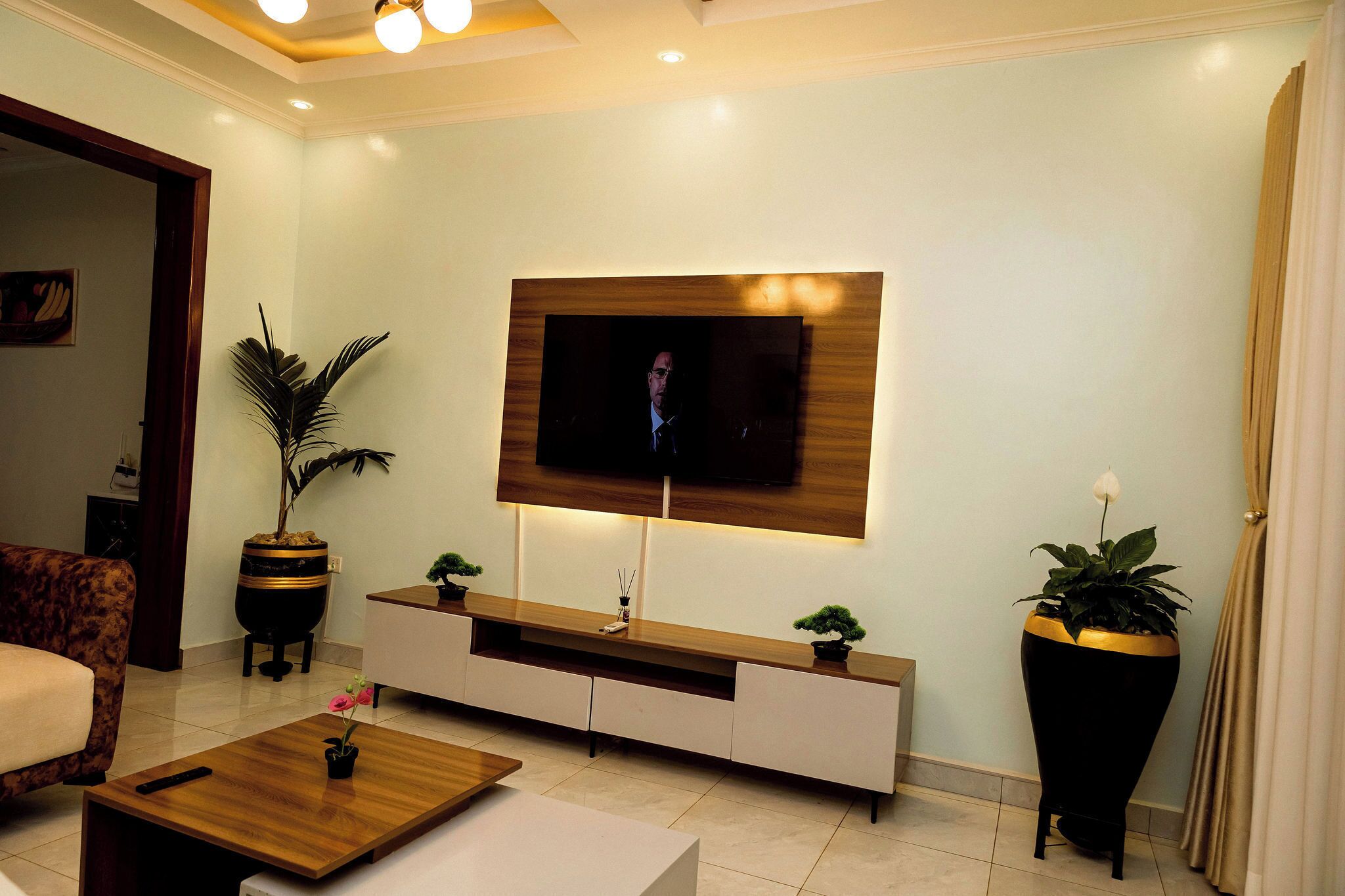 Un salon moderne avec un téléviseur à écran plat fixé à un mur en bois, un canapé, une table basse agrémentée d’une plante, et deux plantes en pot posées sur des tables d’appoint.