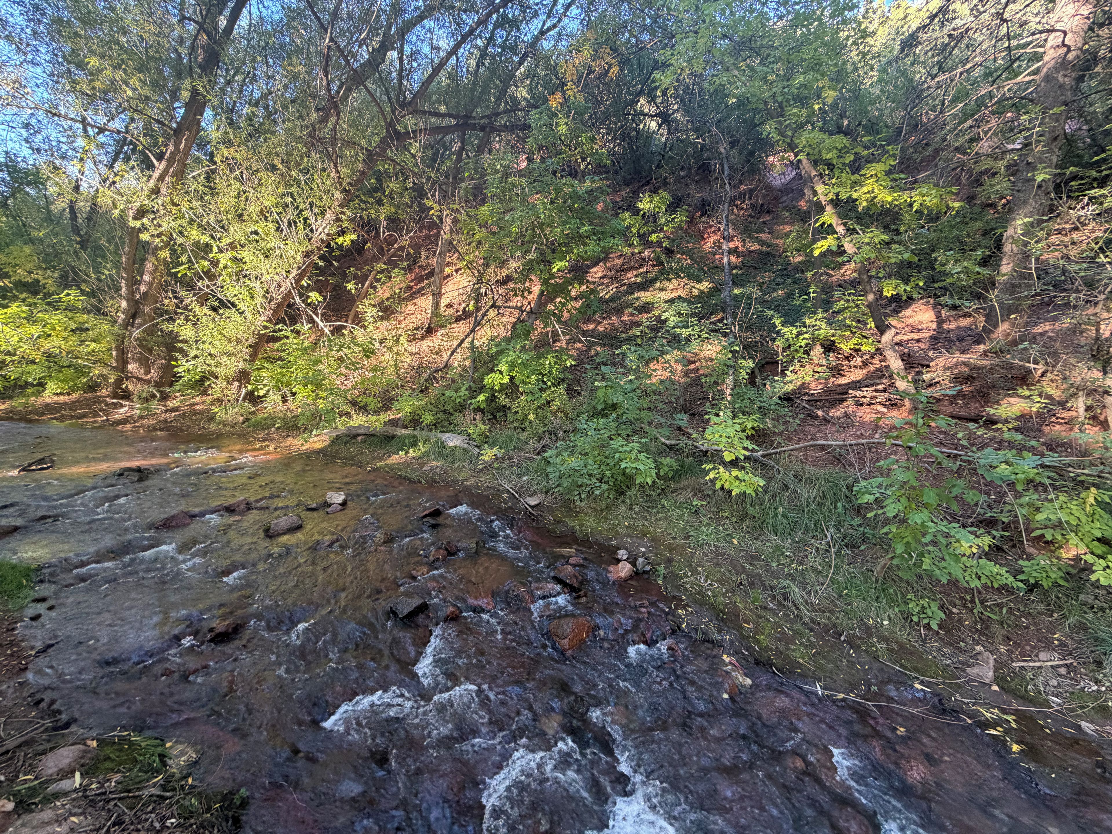 Un cours d’eau naturel qui traverse une zone boisée, caractérisée par une végétation dense et de nombreux arbres.
