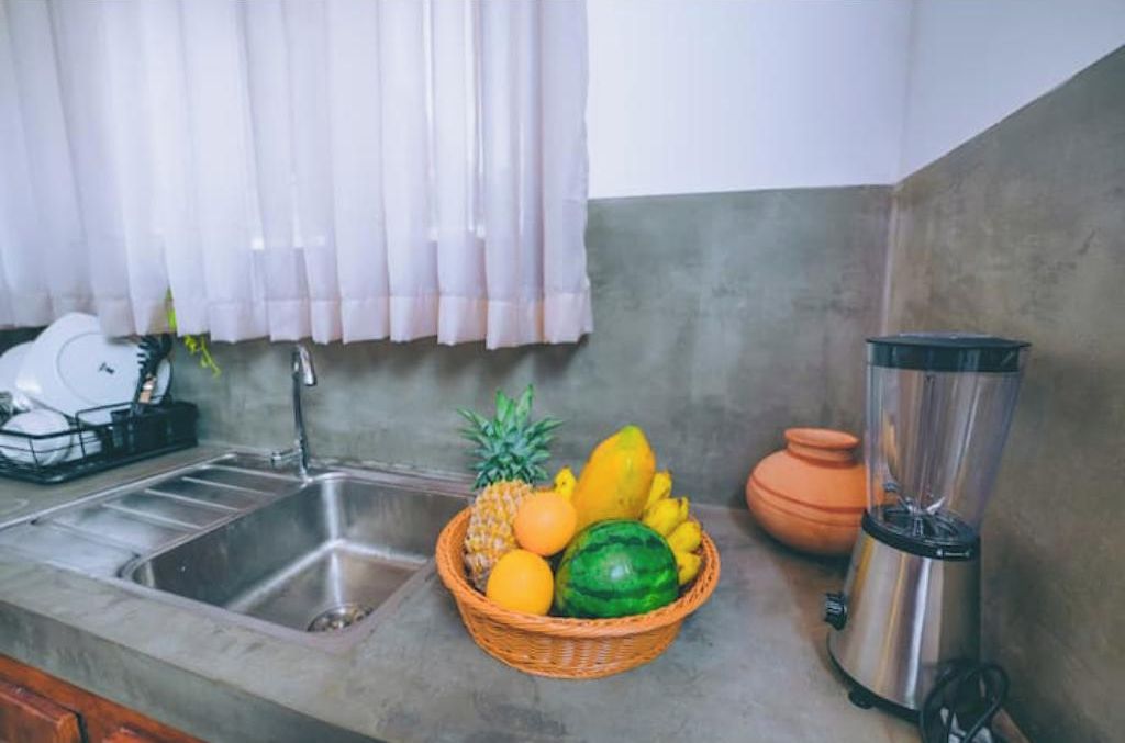 Cozinha com pia de aço inoxidável, cesta de frutas, liquidificador e planta em vaso.