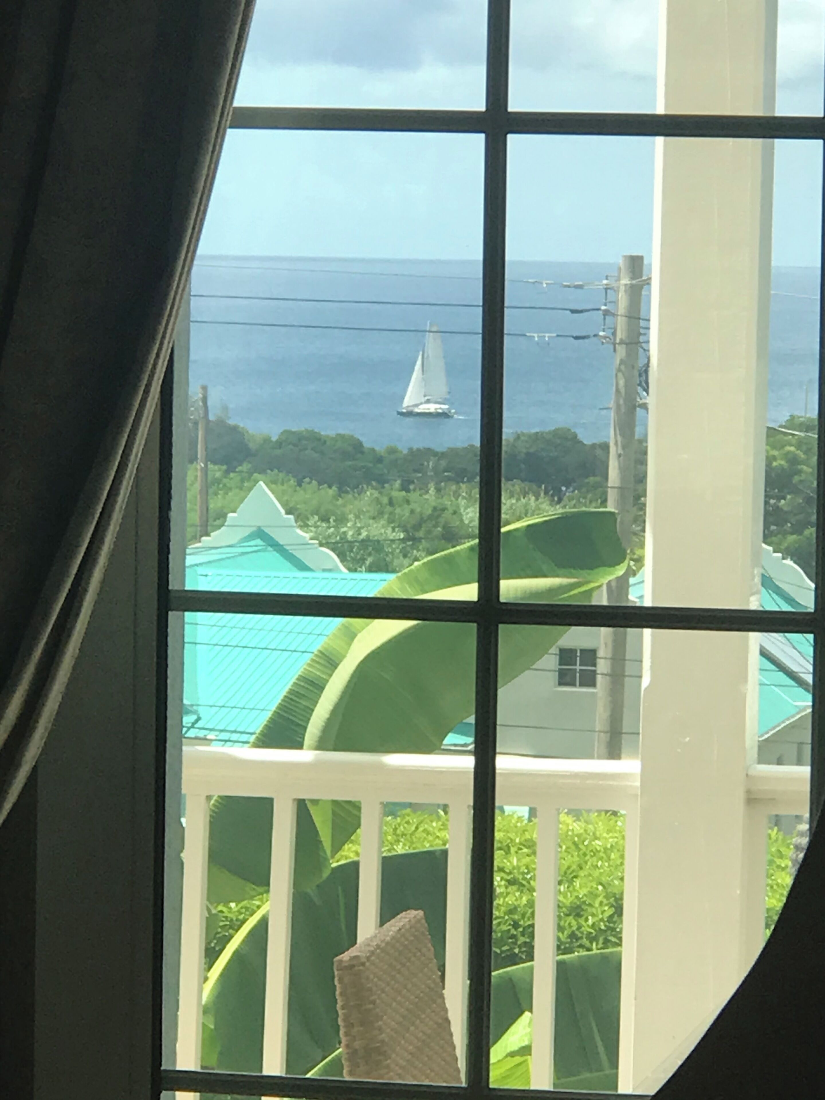 Vista a través de una ventana: un velero en el agua, follaje y un edificio con techo verde.