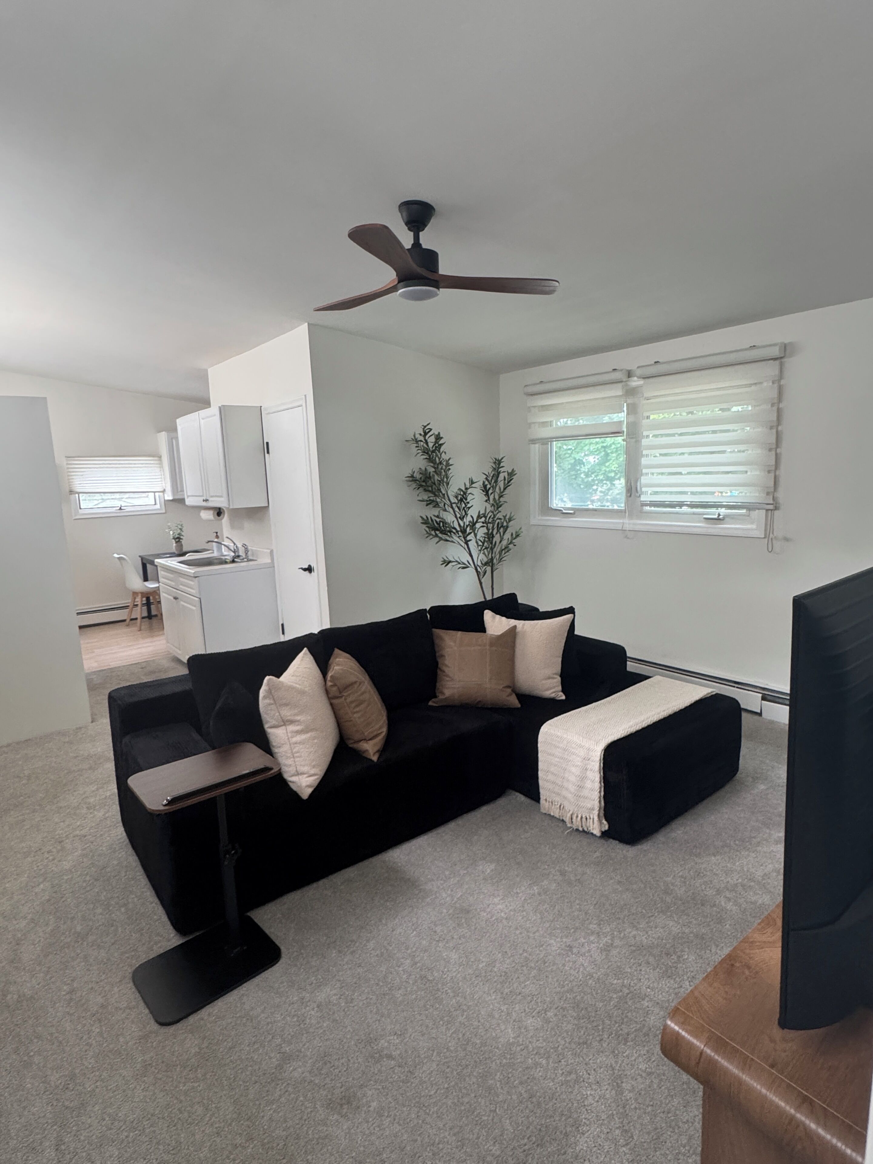 A living room with a black sectional sofa, a small table, a ceiling fan, a plant, and a television.