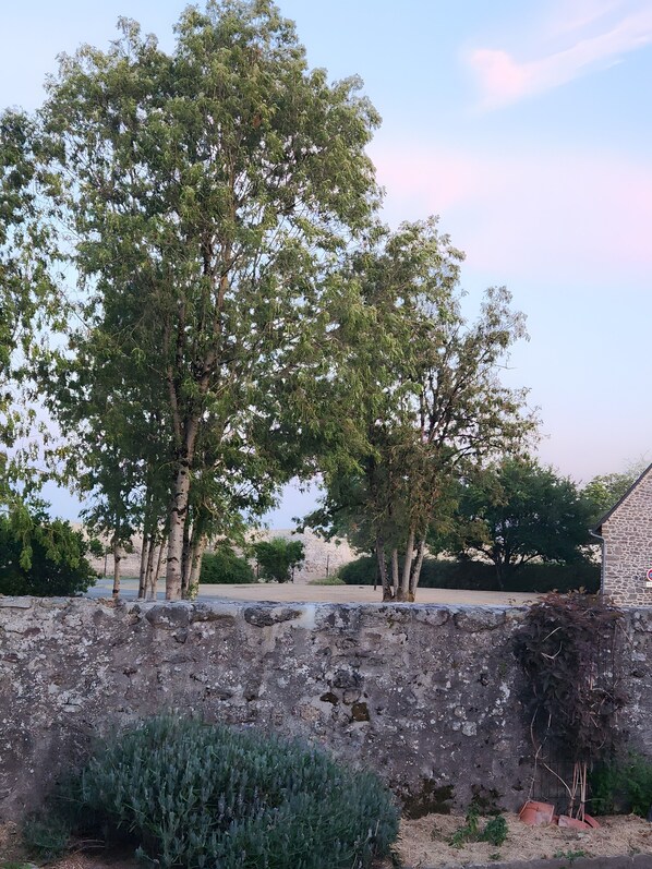 A stone wall with trees and a clear sky.