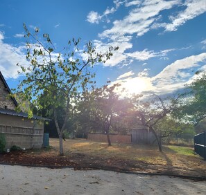 A residential area with a house, trees, and a clear sky.