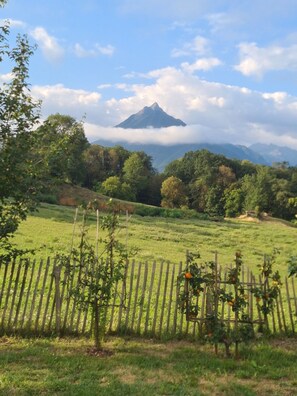 A rural landscape with a mountain in the background, a wooden fence in the foreground, and a field of crops.