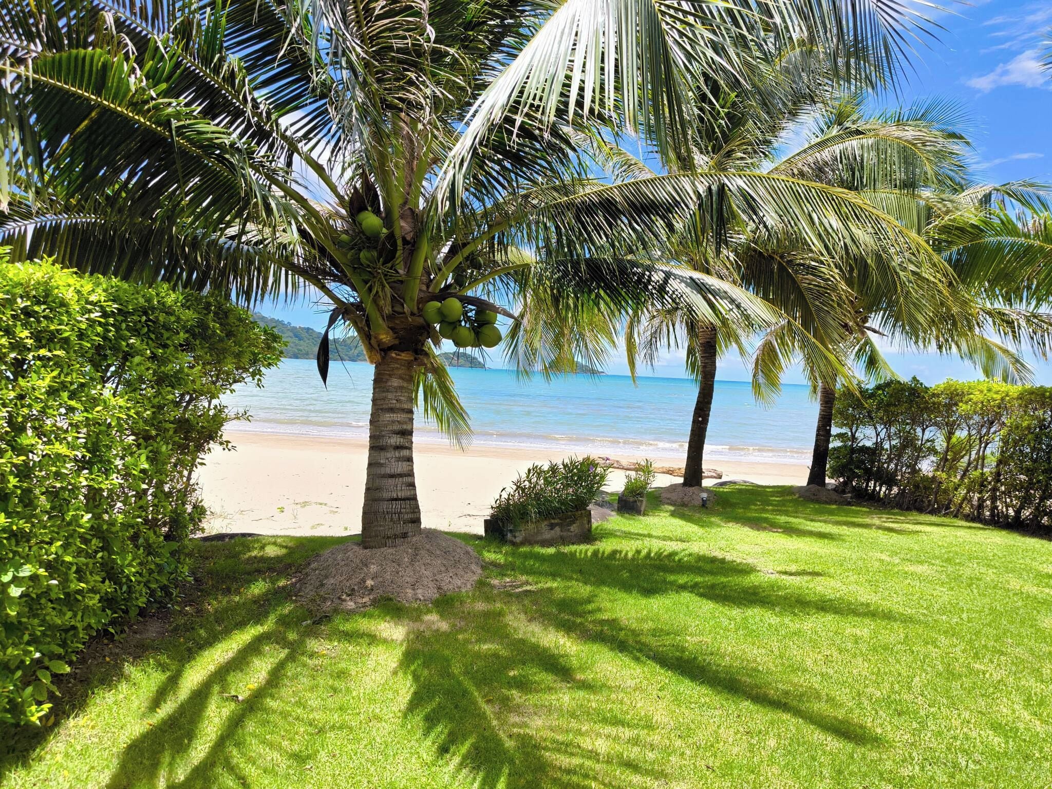 A tropical beach setting with palm trees, a sandy beach, and a clear view of the ocean.