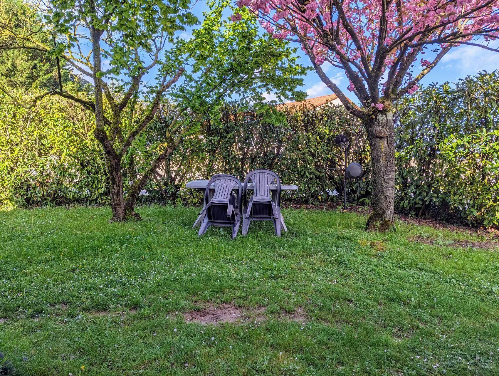 A garden with two chairs and a table, surrounded by trees and greenery.