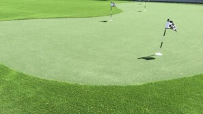 A golf course with a putting green, flags, and a flagstick.