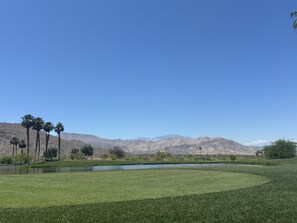 A golf course with a lake, palm trees, and mountains in the background. - 2.5-bedroom house in lovely Palm Desert with AC (Palm Desert)