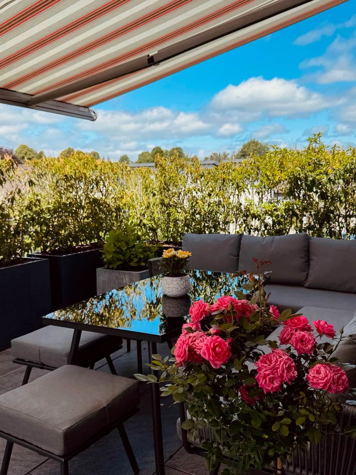 Un área de estar al aire libre con una mesa y sillas, rodeada de abundante vegetación y un cielo despejado.