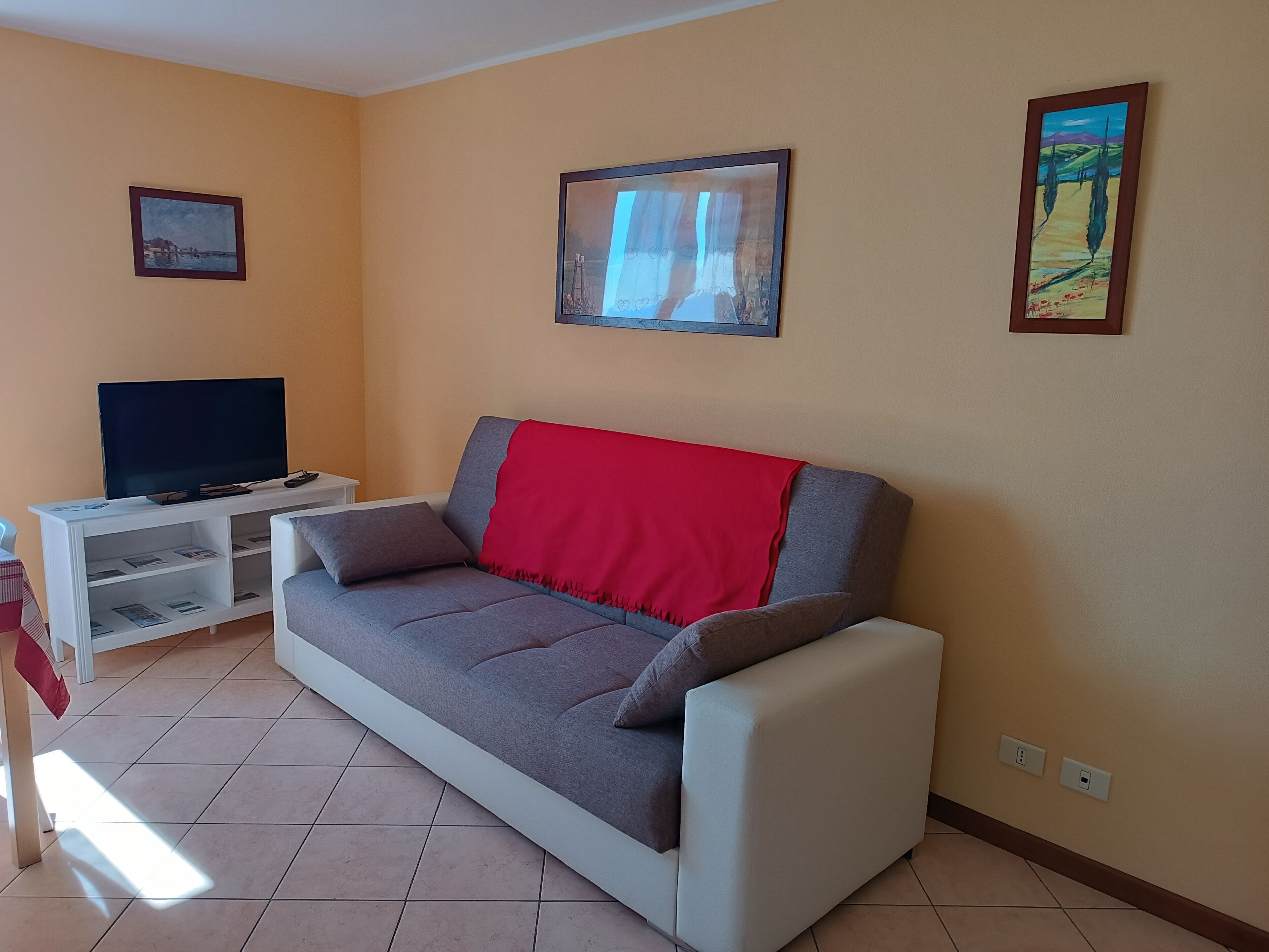 A living room with a grey sofa, a red throw blanket, a television on a white stand, and two framed pictures on the wall.
