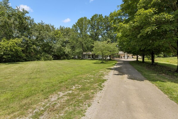 A paved driveway leading to a row of houses surrounded by trees.