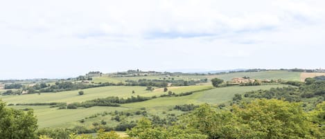 Paisaje rural con colinas ondulantes, árboles dispersos y un edificio distante.