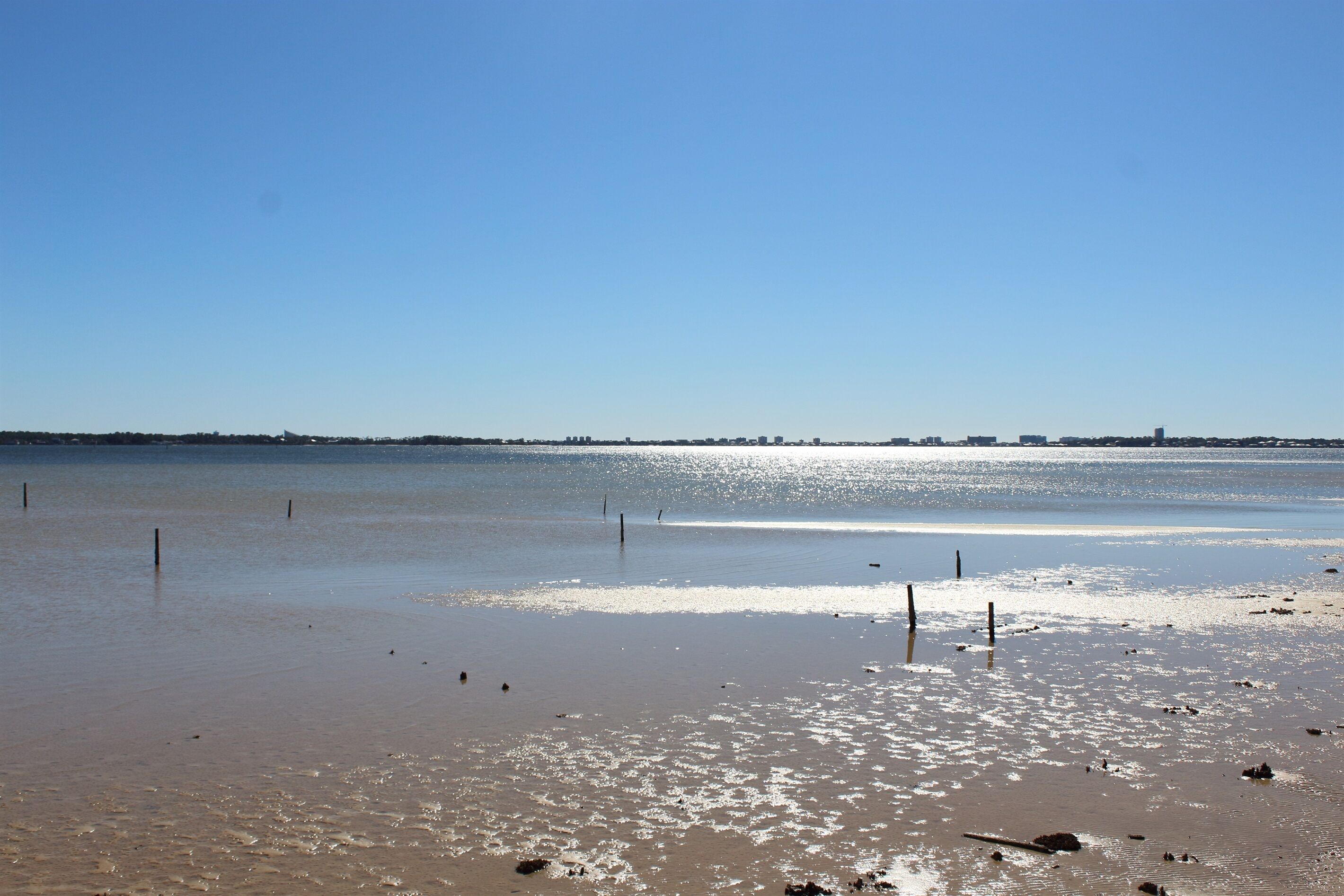 Uma praia com céu claro e águas calmas.