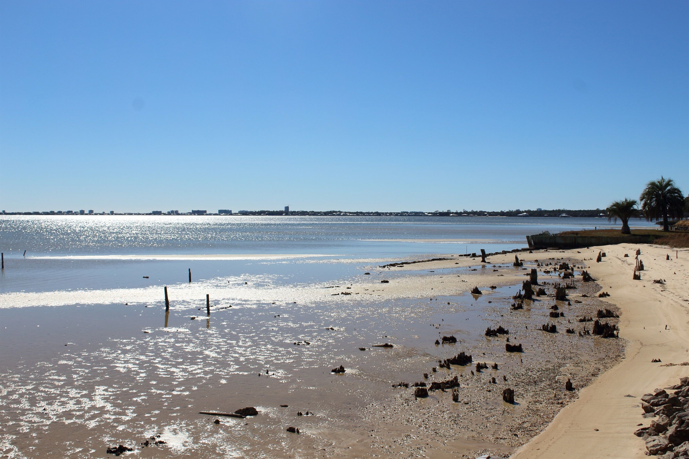 Una spiaggia con rocce sparse e cielo sereno.