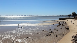 Une plage parsemée de rochers, sous un ciel dégagé.