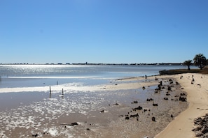A beach with scattered rocks and a clear sky.