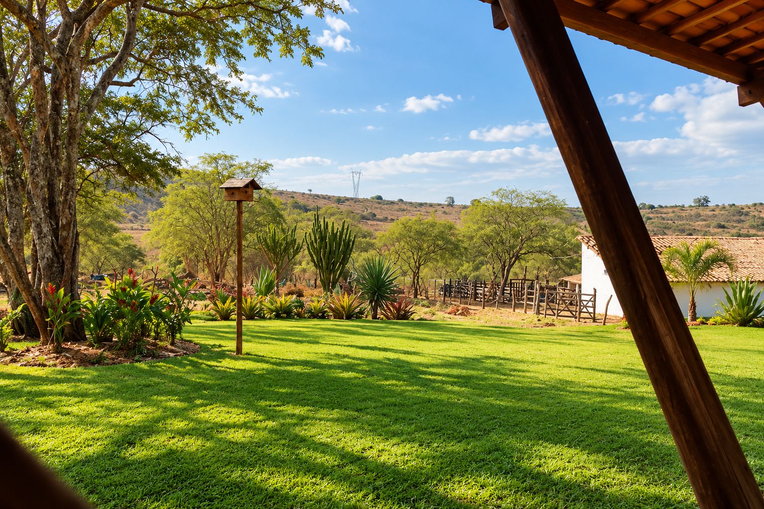 A grassy outdoor area with a wooden fence, trees, and a clear sky.