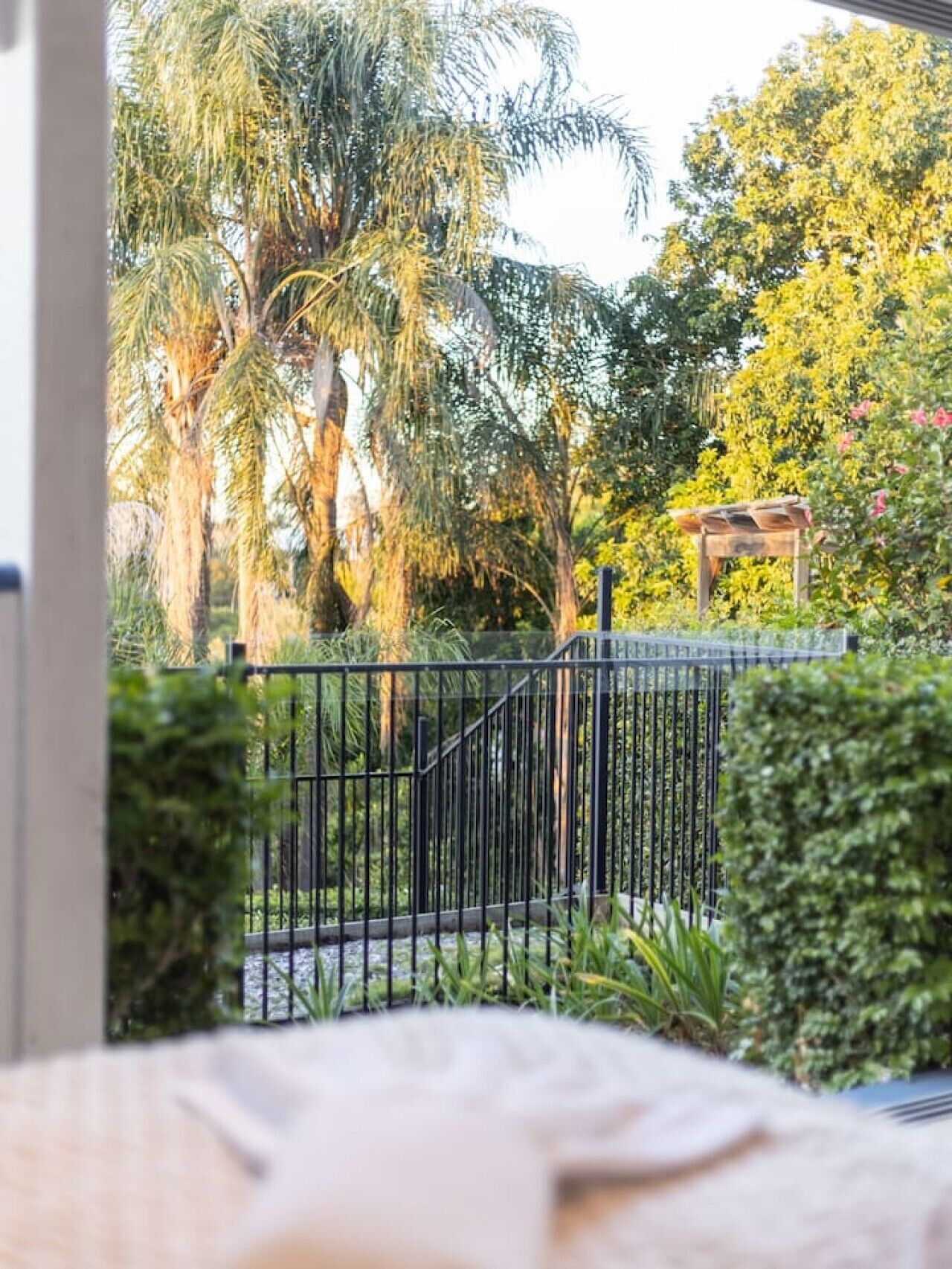 Een tuin met een metalen hek, palmstruiken en een houten pergola.